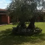 Alloggio per agriturismo Su Barraccu