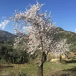 Su Barraccu Loceri