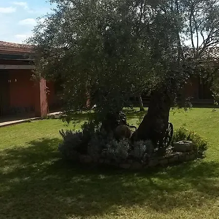 Farm stay Agriturismo Su Barraccu