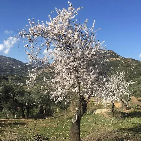 Su Barraccu Loceri