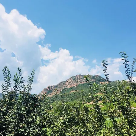 Su Barraccu Alloggio per agriturismo *