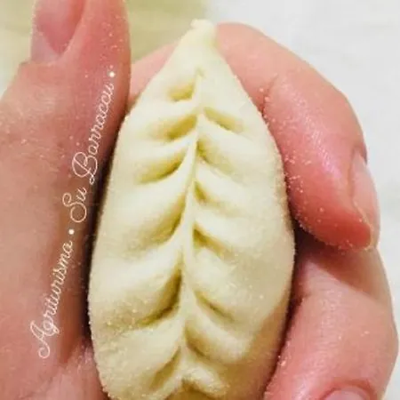 Agriturismo Su Barraccu Farm stay