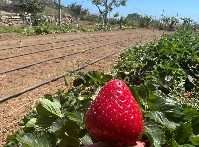 Su Barraccu * Loceri