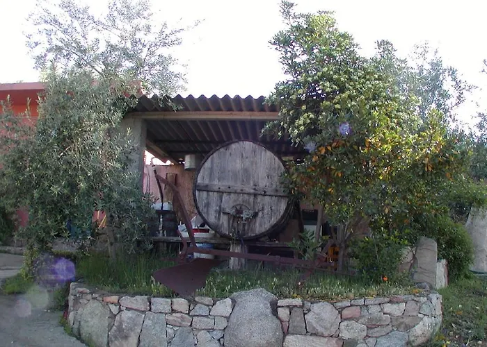 Séjour à la ferme Su Barraccu Loceri