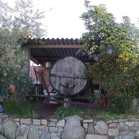 Farm stay Agriturismo Su Barraccu Loceri