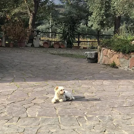 Agriturismo Su Barraccu Loceri