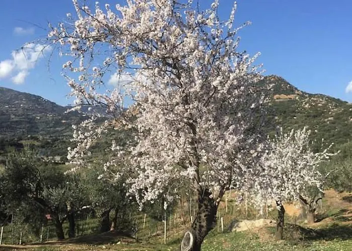 Su Barraccu Loceri